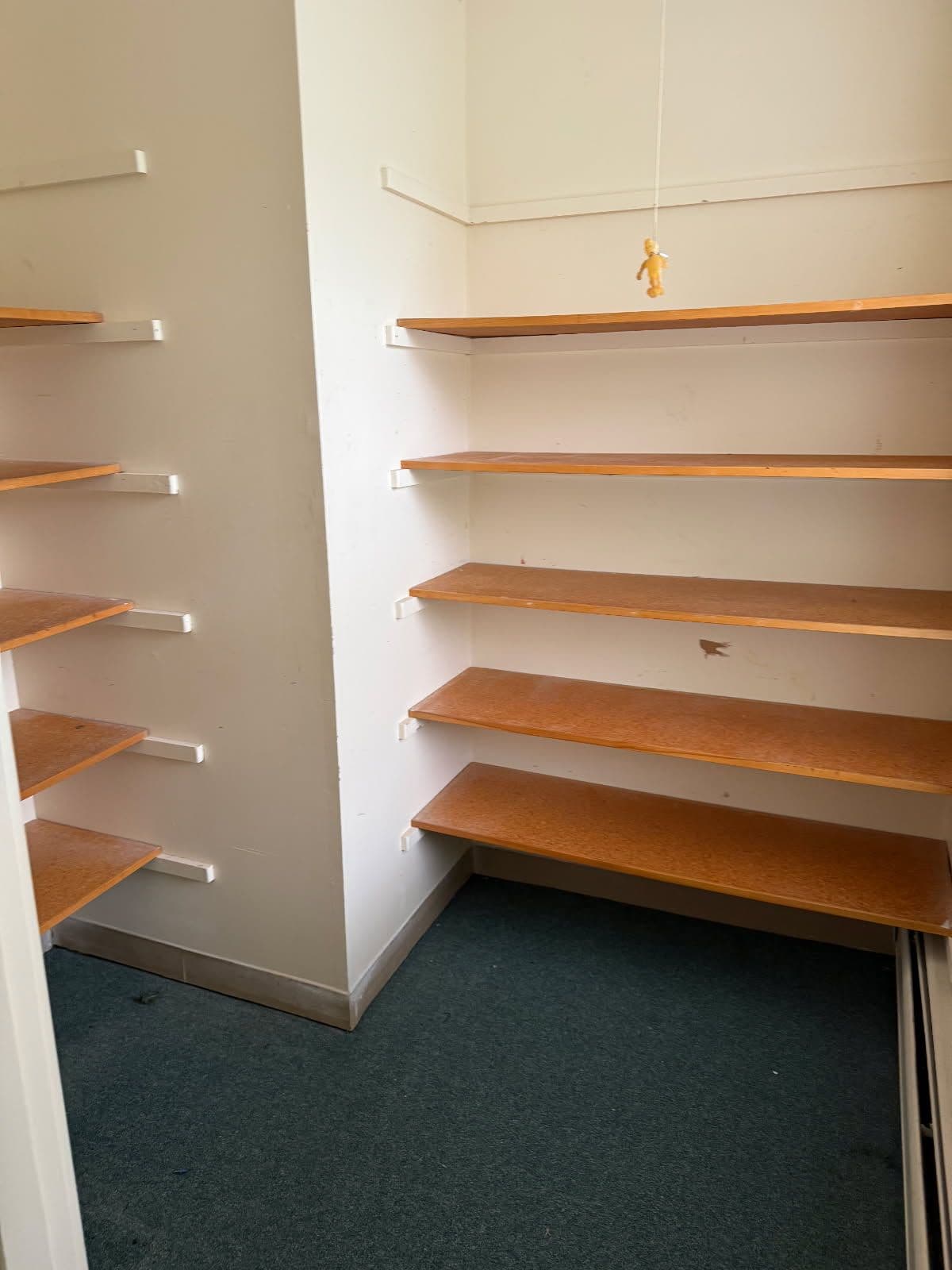 Empty room with wooden shelving units on white walls and green carpet flooring.