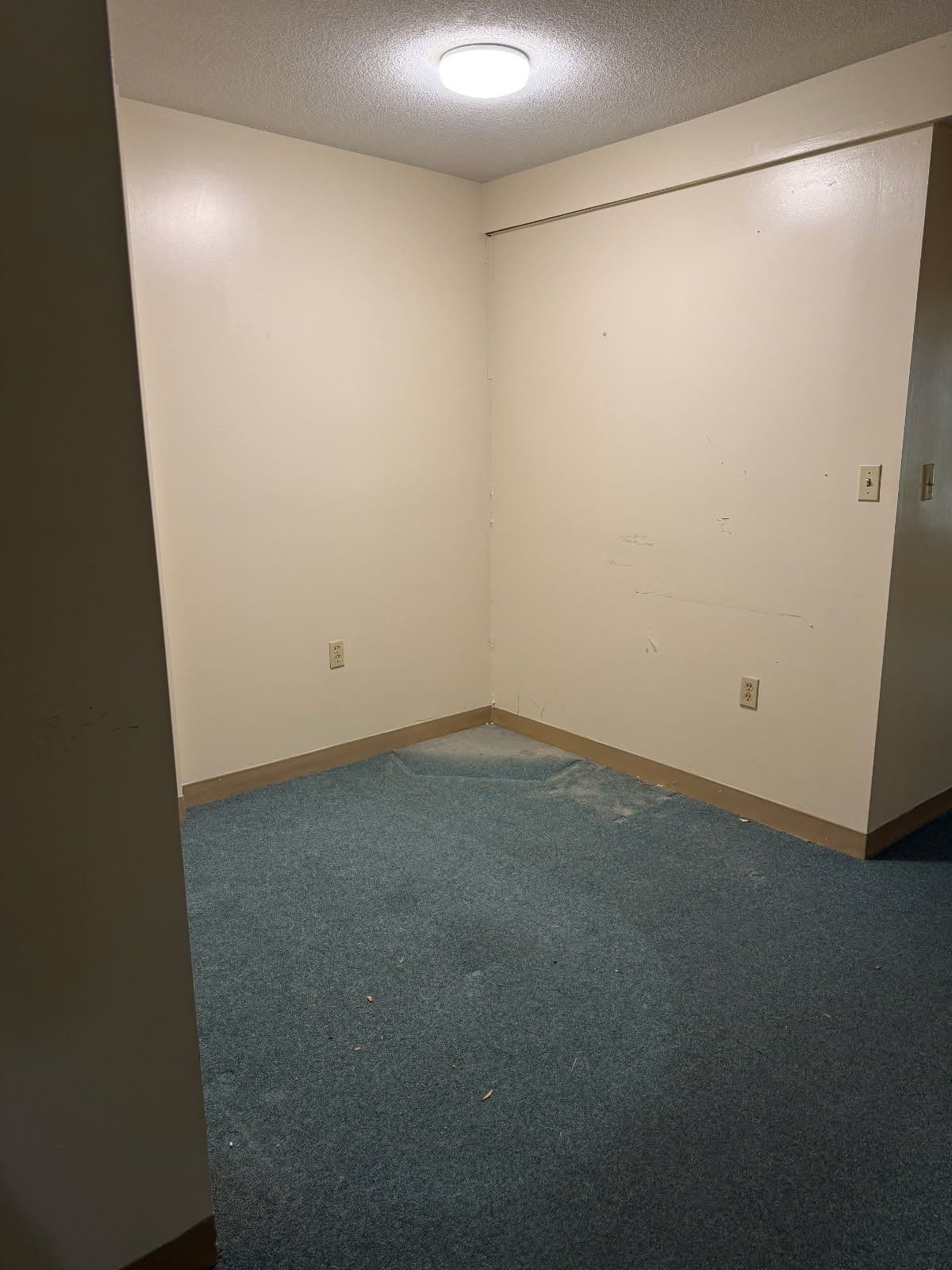 Empty room with beige walls and blue carpet, featuring a ceiling light and unadorned corner.