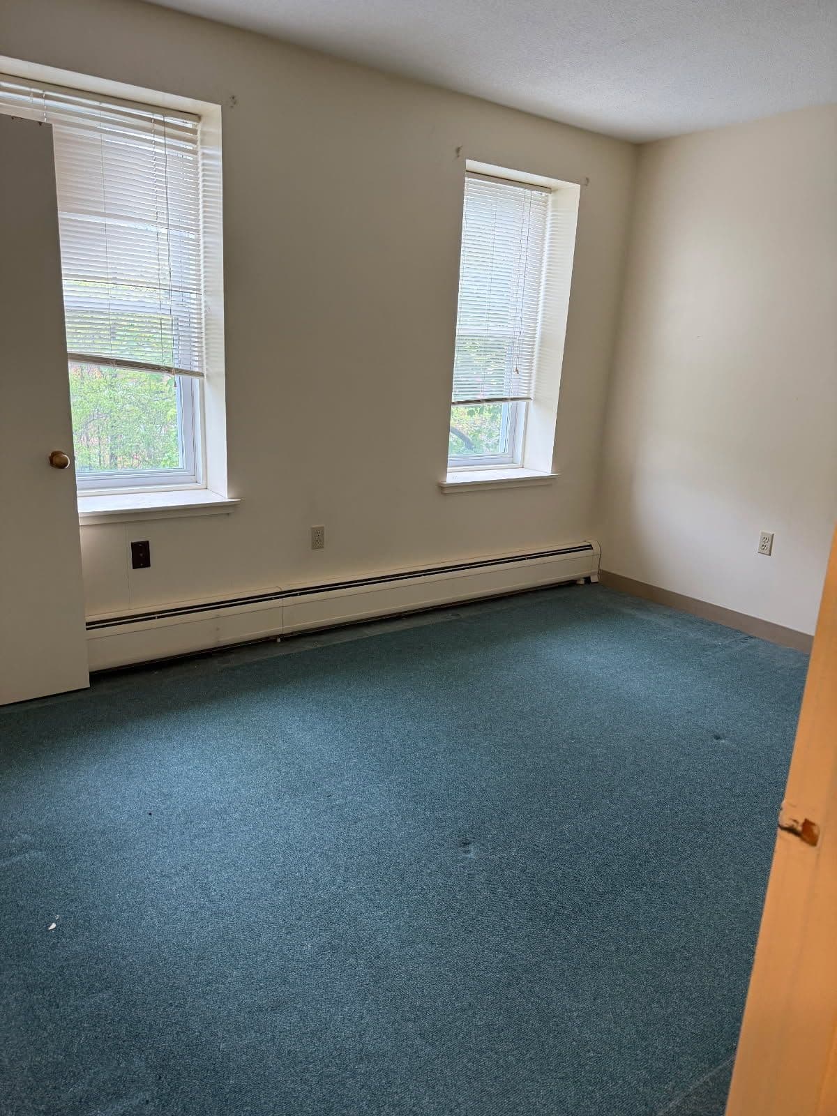 Empty room with green carpet, two windows, and neutral colored walls, suitable for decorating.